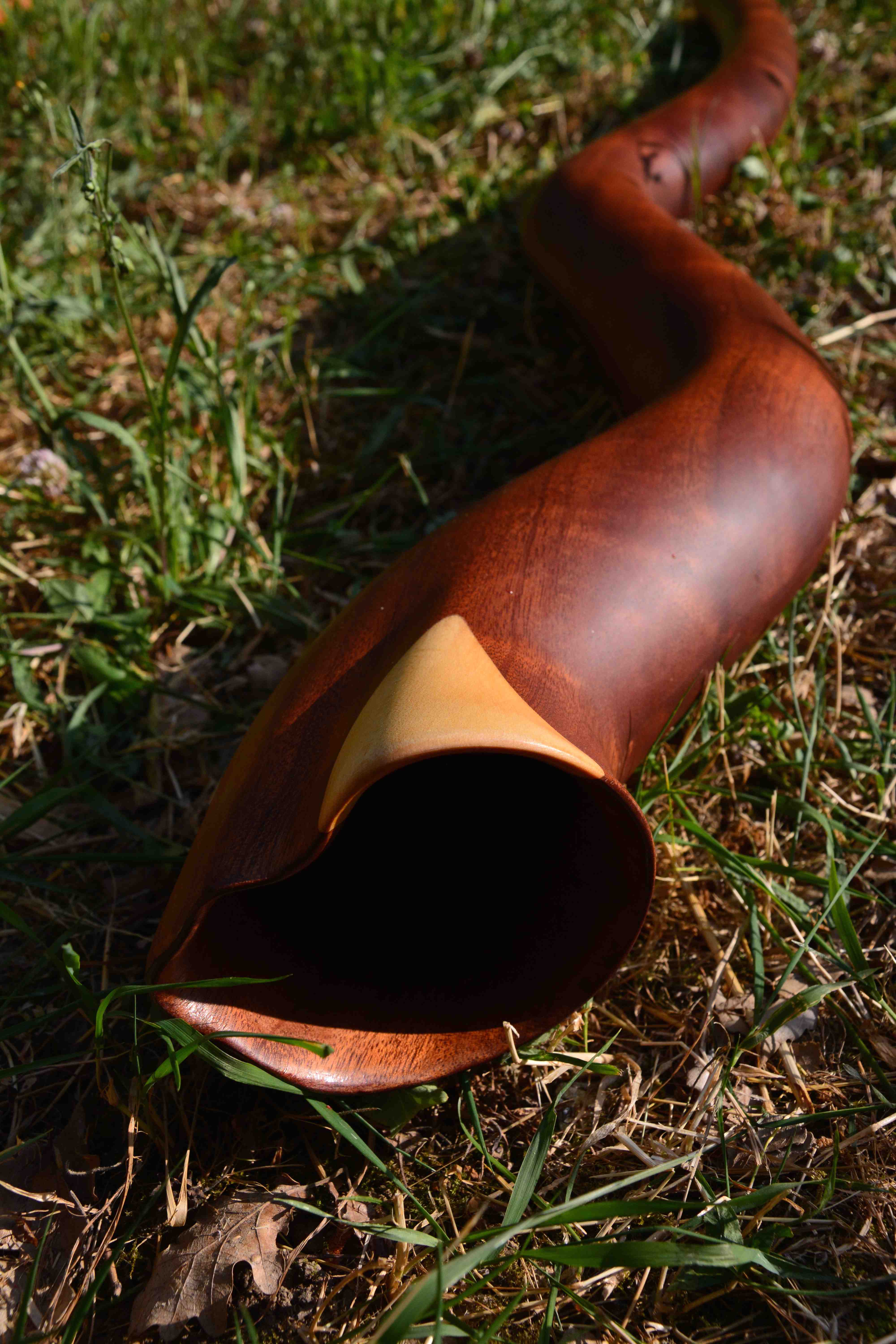 Cloche d'un didgeridoo sculpté en sipo avec une touche d'érable 